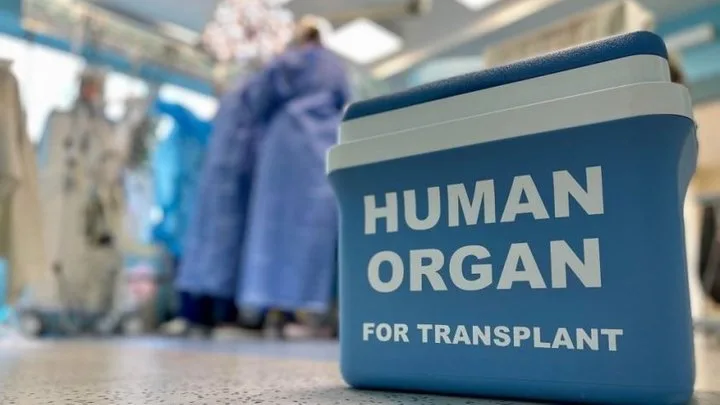 Львів лідирує в трансплантології: 84 операції за півроку 2026